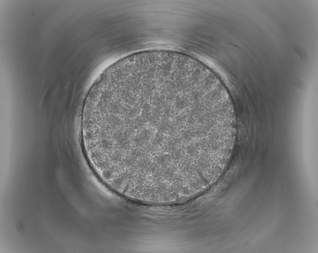 X0000111631383200908281125
