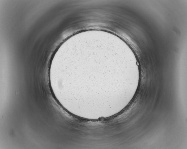 X0000111631384200908281125
