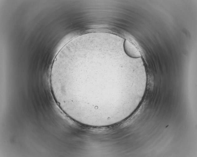 X0000111631386200908281125