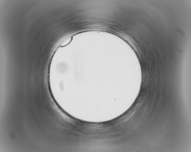 X0000111631387200908281125