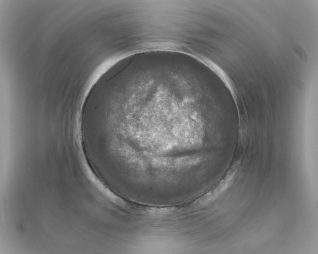 X0000111631389200908281125