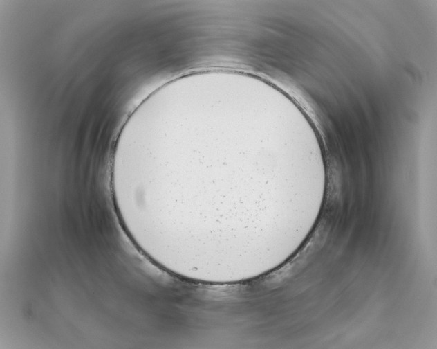 X0000111631390200908281125