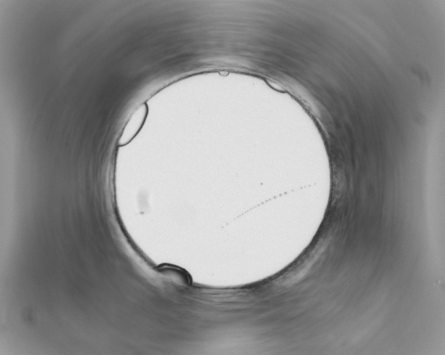 X0000111631391200908281125