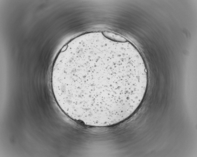 X0000111631392200908281125