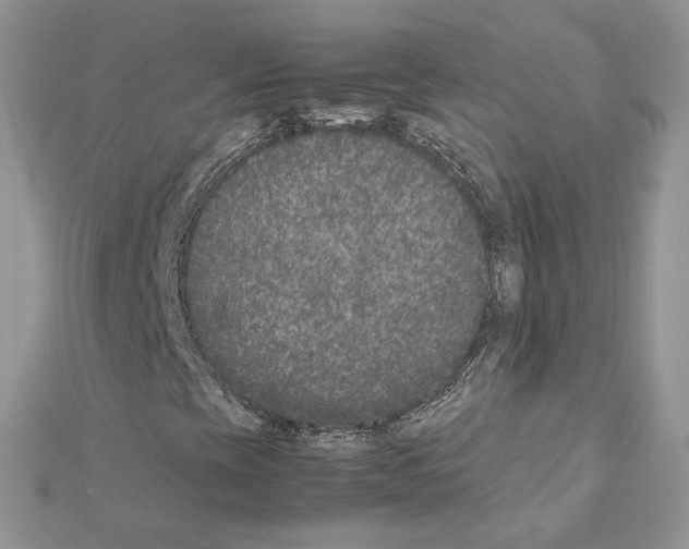 X0000111631393200908281124