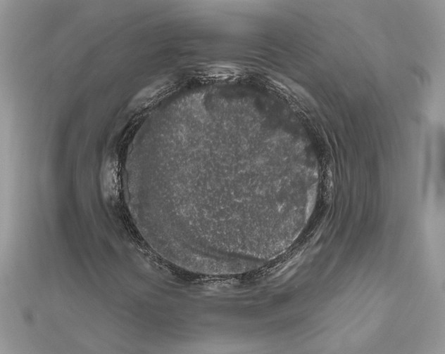 X0000111631394200908281124
