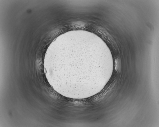 X0000111631395200908281124