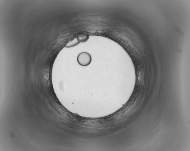 X0000111631396200908281124
