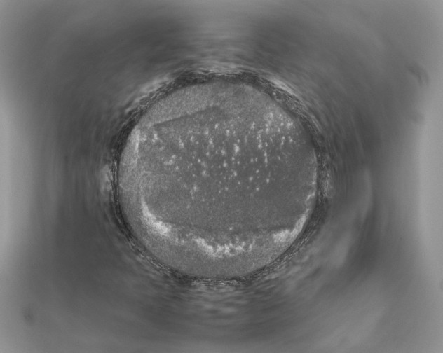 X0000111631397200908281124