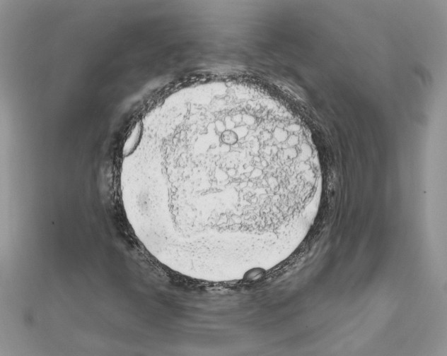 X0000111631398200908281124