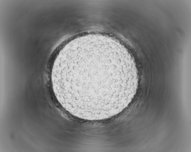X0000111631400200908281124