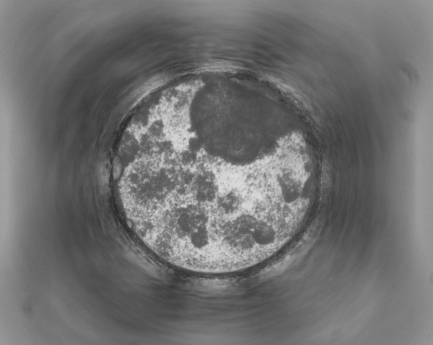 X0000111631401200908281124