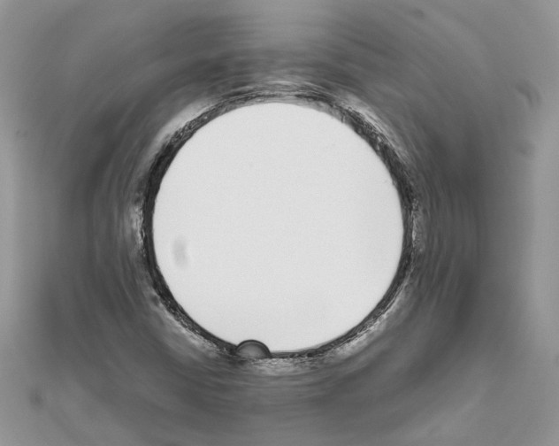 X0000111631402200908281124
