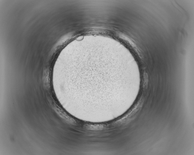 X0000111631403200908281124
