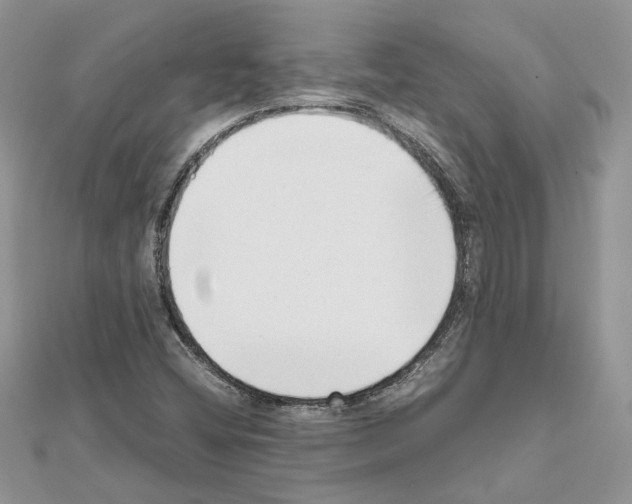 X0000111631404200908281124