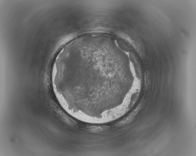 X0000111631405200908281124