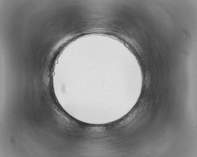 X0000111631406200908281124