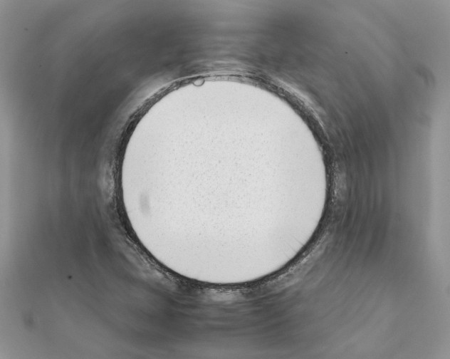X0000111631407200908281124