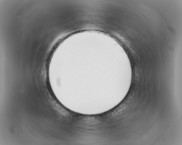 X0000111631408200908281124
