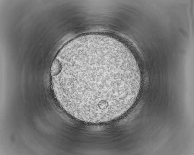X0000111631409200908281124