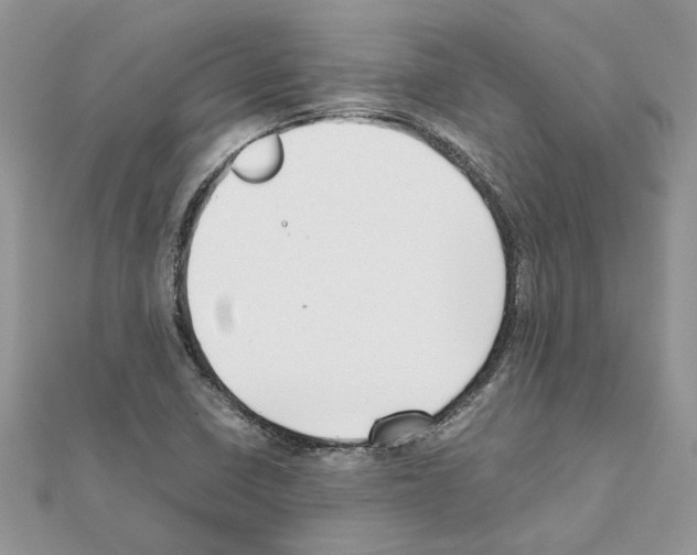 X0000111631410200908281124