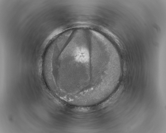 X0000111631411200908281124