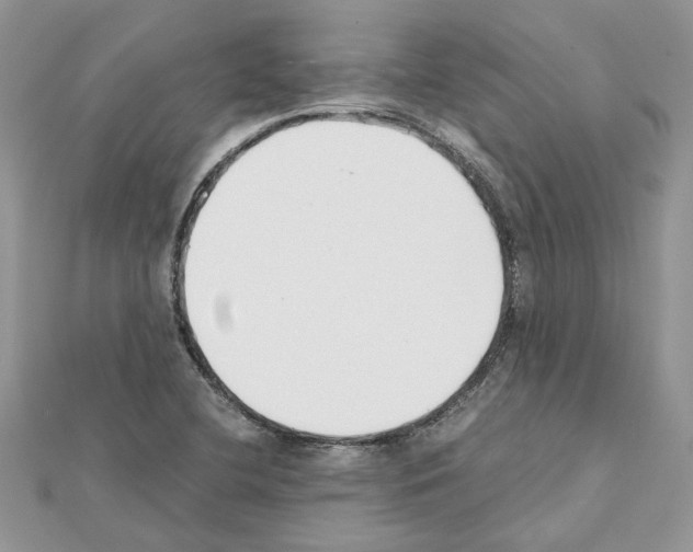 X0000111631412200908281124