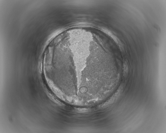 X0000111631413200908281124
