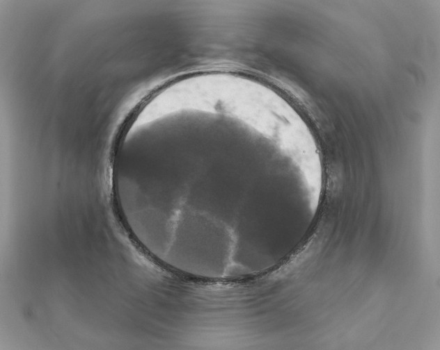 X0000111631414200908281124