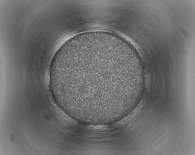 X0000111631415200908281124