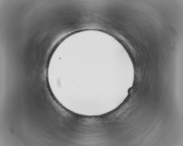X0000111631416200908281124