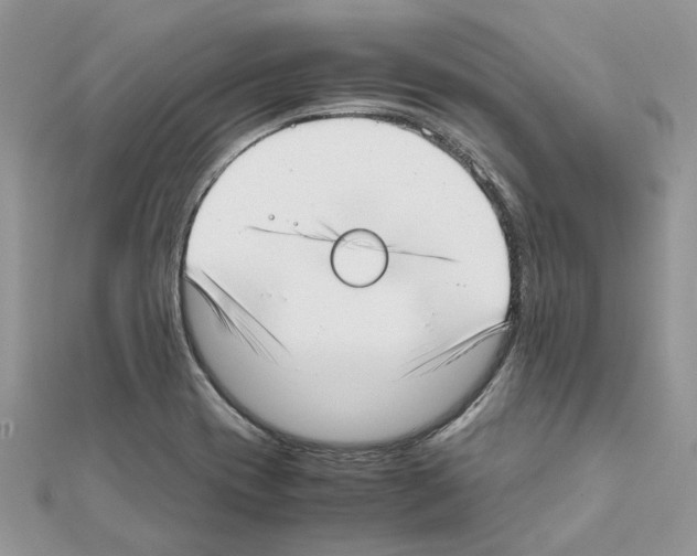 X0000111631417200908281124