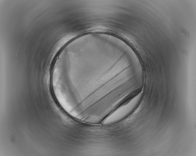 X0000111631418200908281124