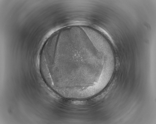 X0000111631419200908281124