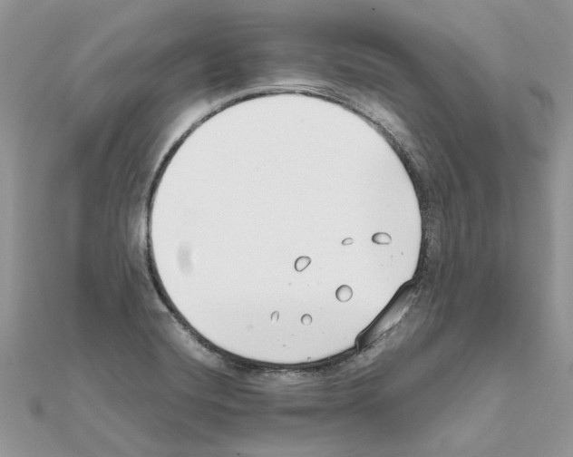 X0000111631420200908281124