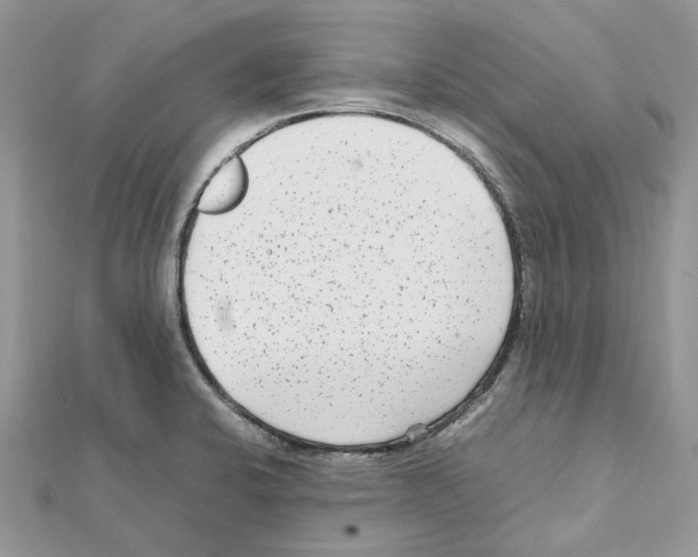 X0000111631424200908281124