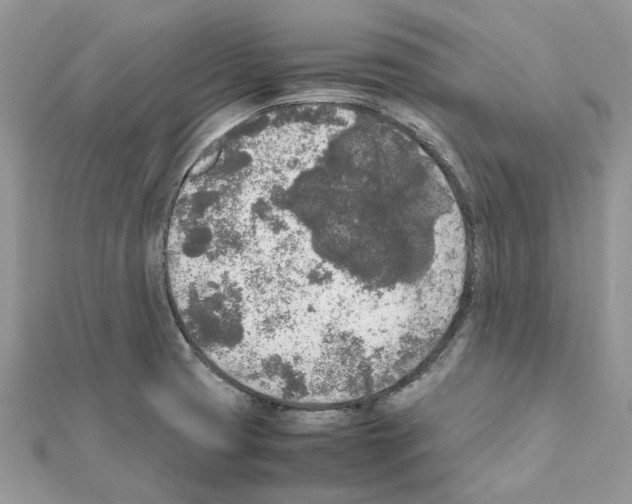 X0000111631425200908281124
