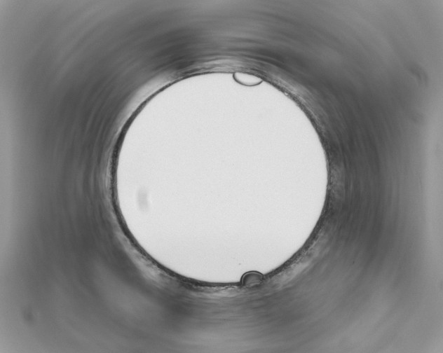 X0000111631426200908281124