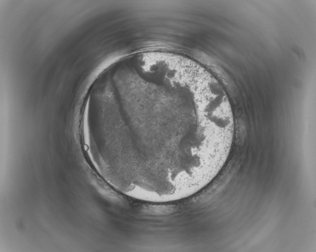 X0000111631427200908281125