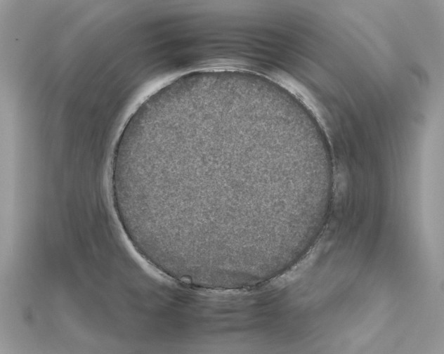 X0000111631429200908281125