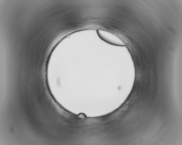X0000111631430200908281125