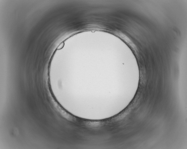X0000111631431200908281125