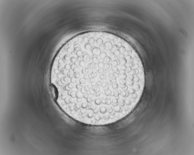 X0000111631432200908281125