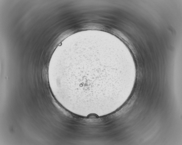 X0000111631433200908281125