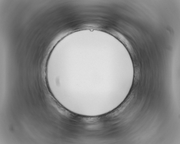 X0000111631435200908281125