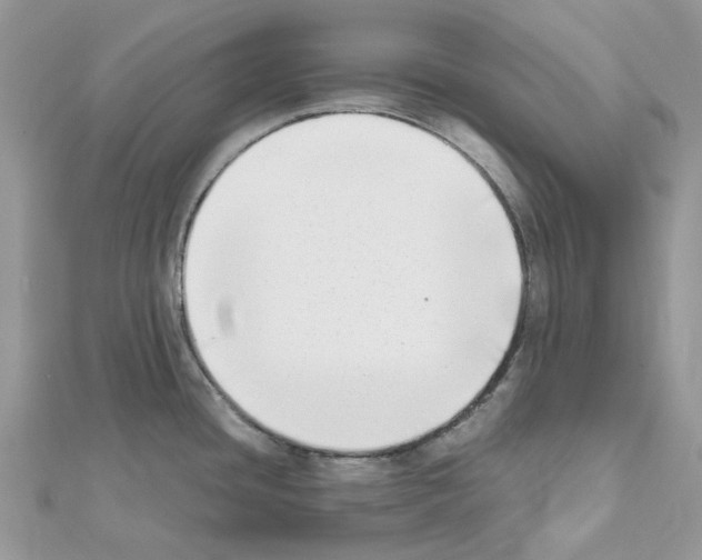 X0000111631436200908281125