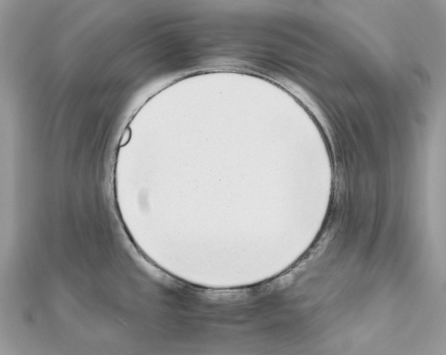 X0000111631437200908281125