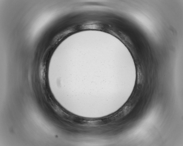 X0000111631438200908281125