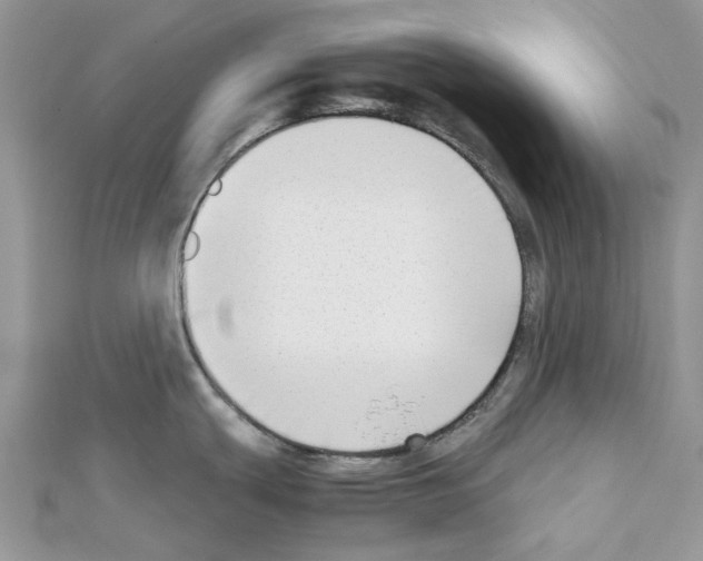 X0000111631439200908281125