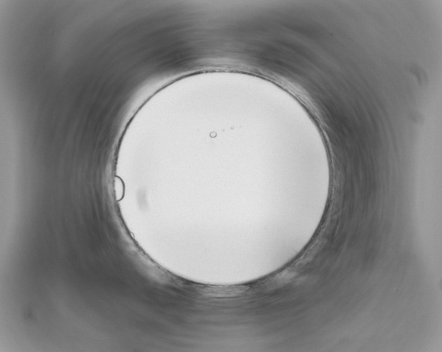 X0000111631440200908281125